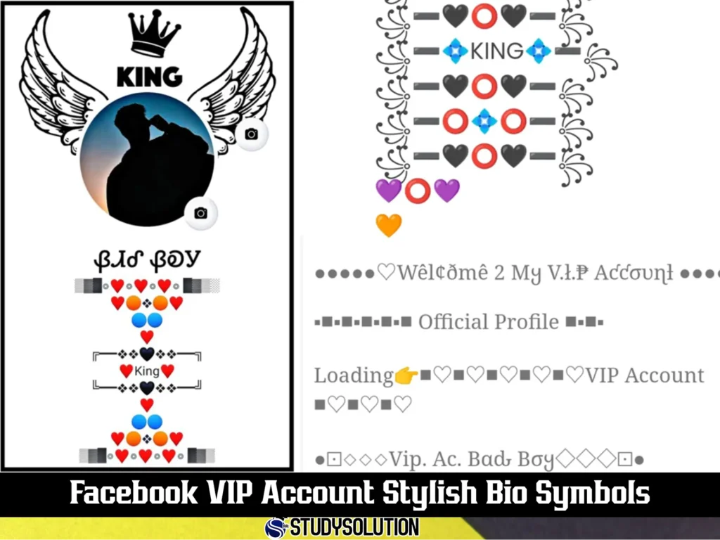 Facebook VIP Account Stylish Bio Symbols