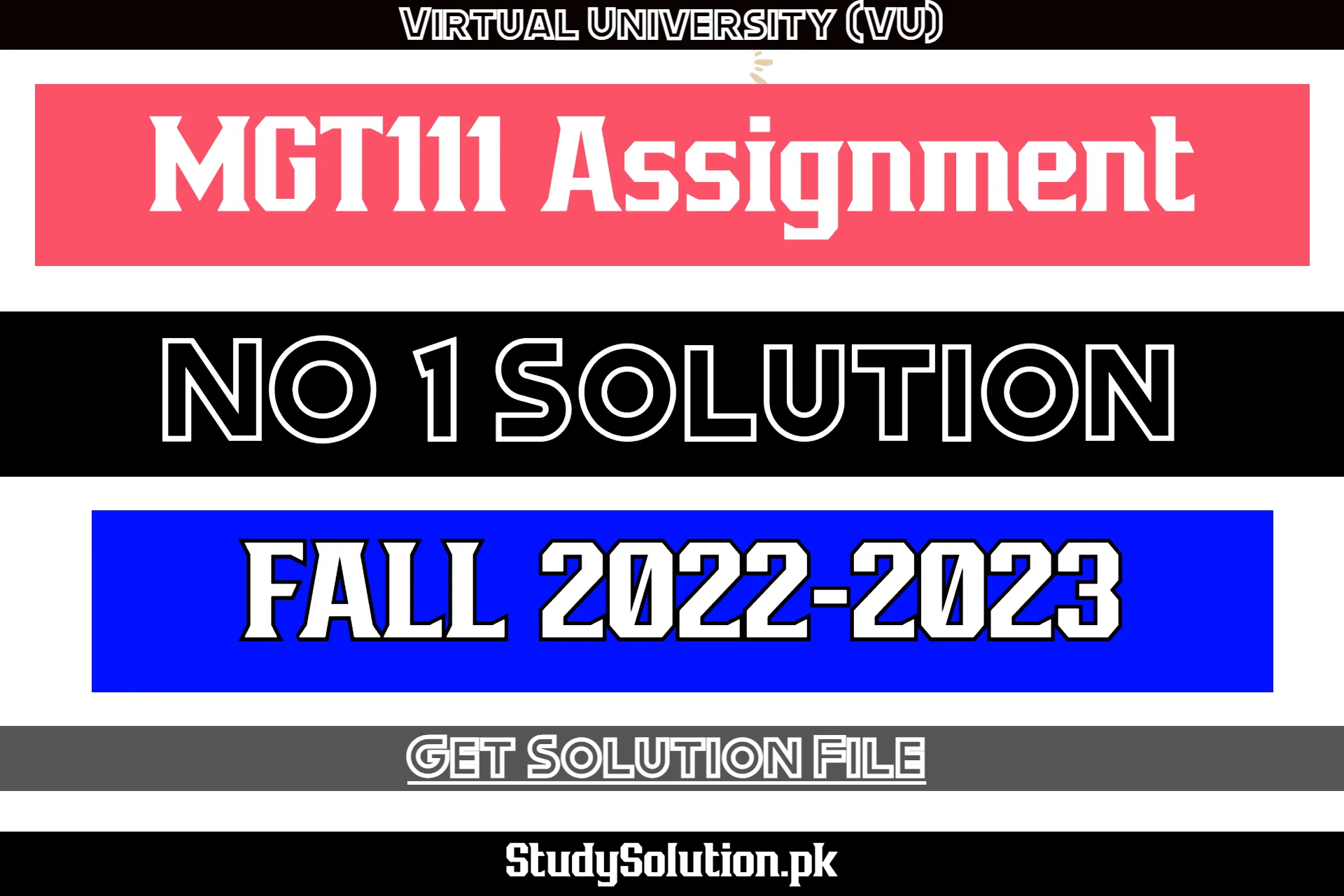 MGT111 Assignment No 1 Solution Fall 2022