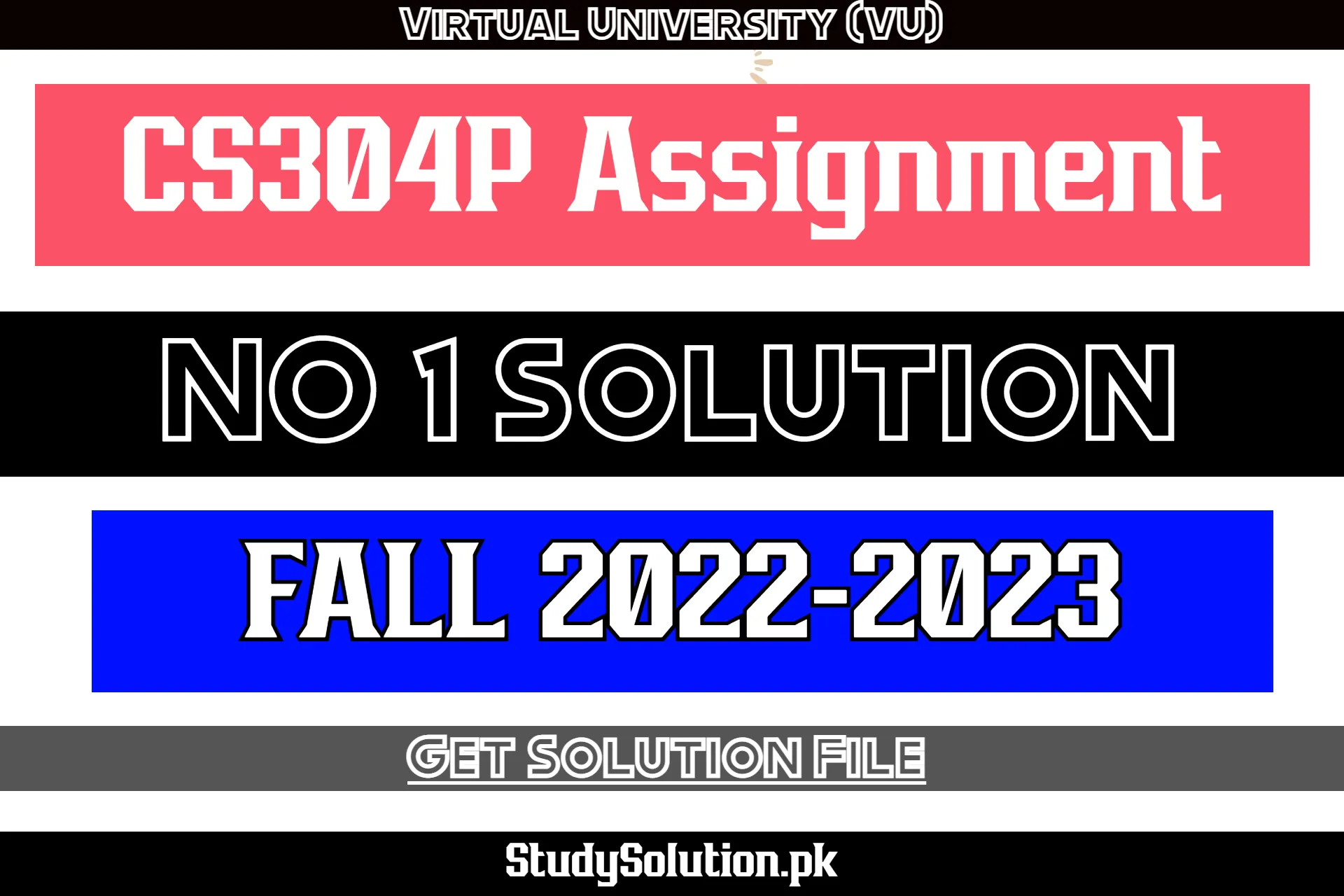 CS304P Assignment No 1 Solution Fall 2022