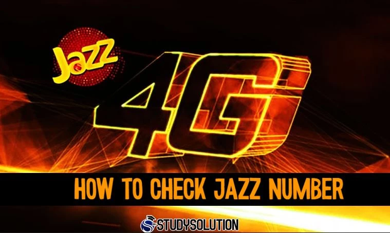 How To Check Jazz Number