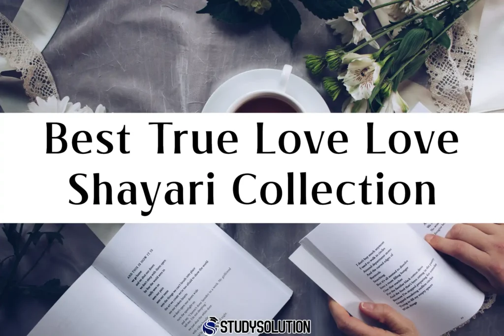 True Love Love Shayari