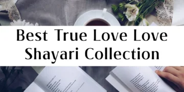True Love Love Shayari