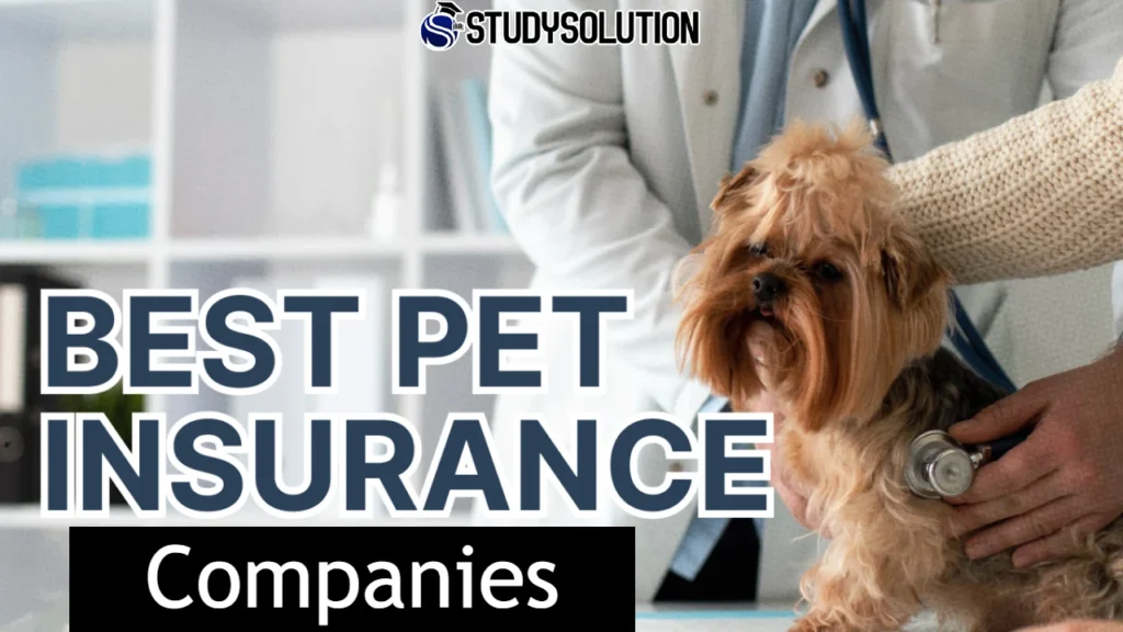 Best Pet Insurance for Multiple Pets